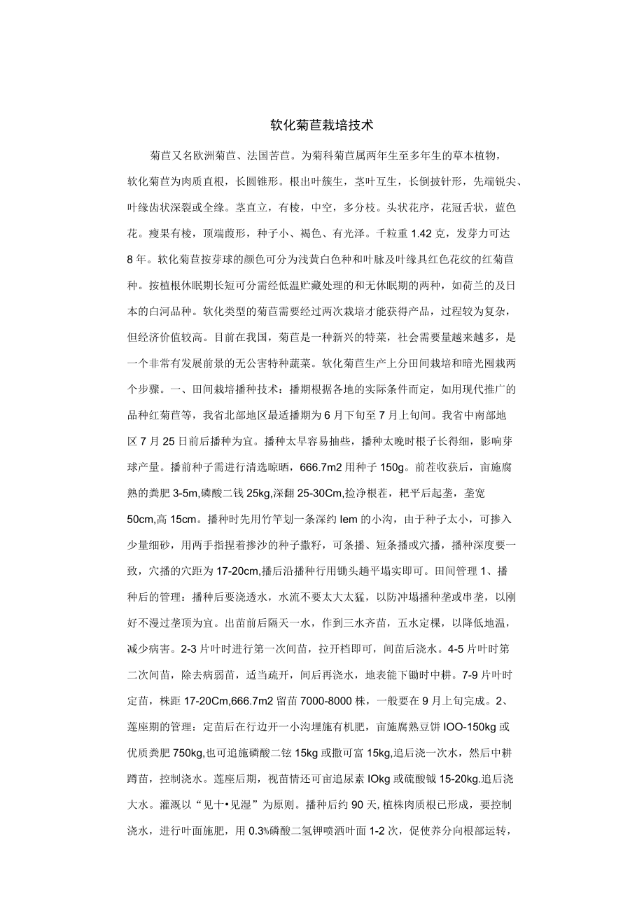 软化菊苣栽培技术.docx_第1页