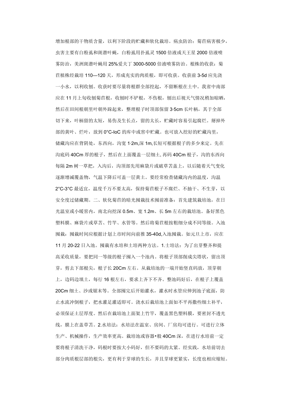 软化菊苣栽培技术.docx_第2页