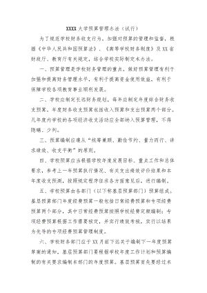 大学预算管理办法模板.docx