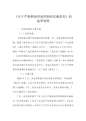 《关于严格耕地用途管制的实施意见》编制说明.docx