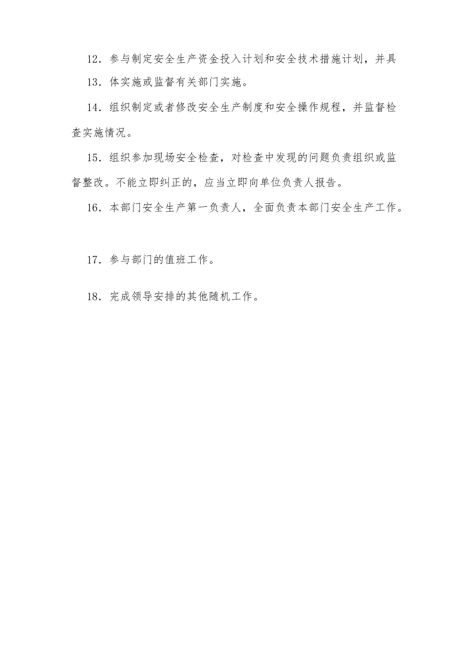 公司项目办公室主任岗位安全职责.docx_第2页