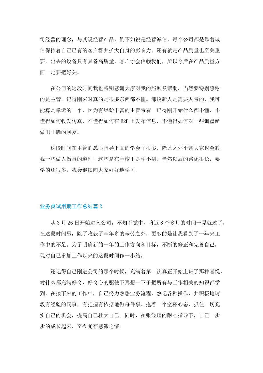 业务员试用期工作总结精选.doc_第3页