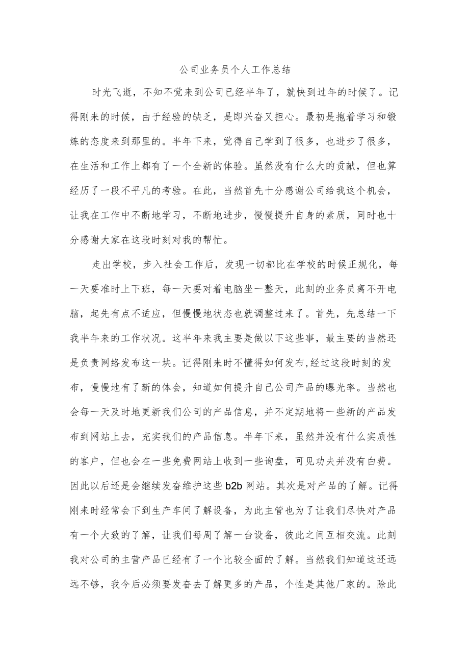 公司业务员个人工作总结.docx_第1页