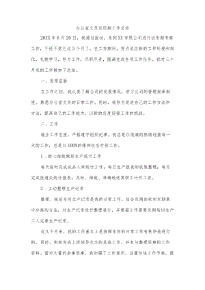 办公室文员试用期工作总结.docx