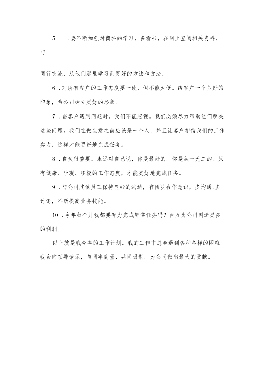 业务员工作计划.docx_第2页