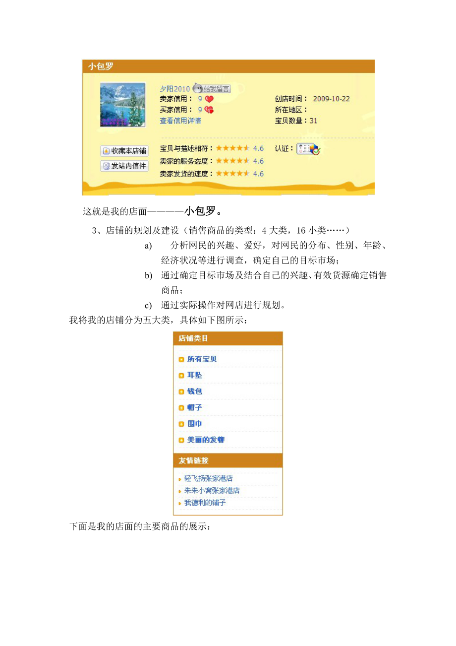 网上店铺建设总结报告.docx_第2页