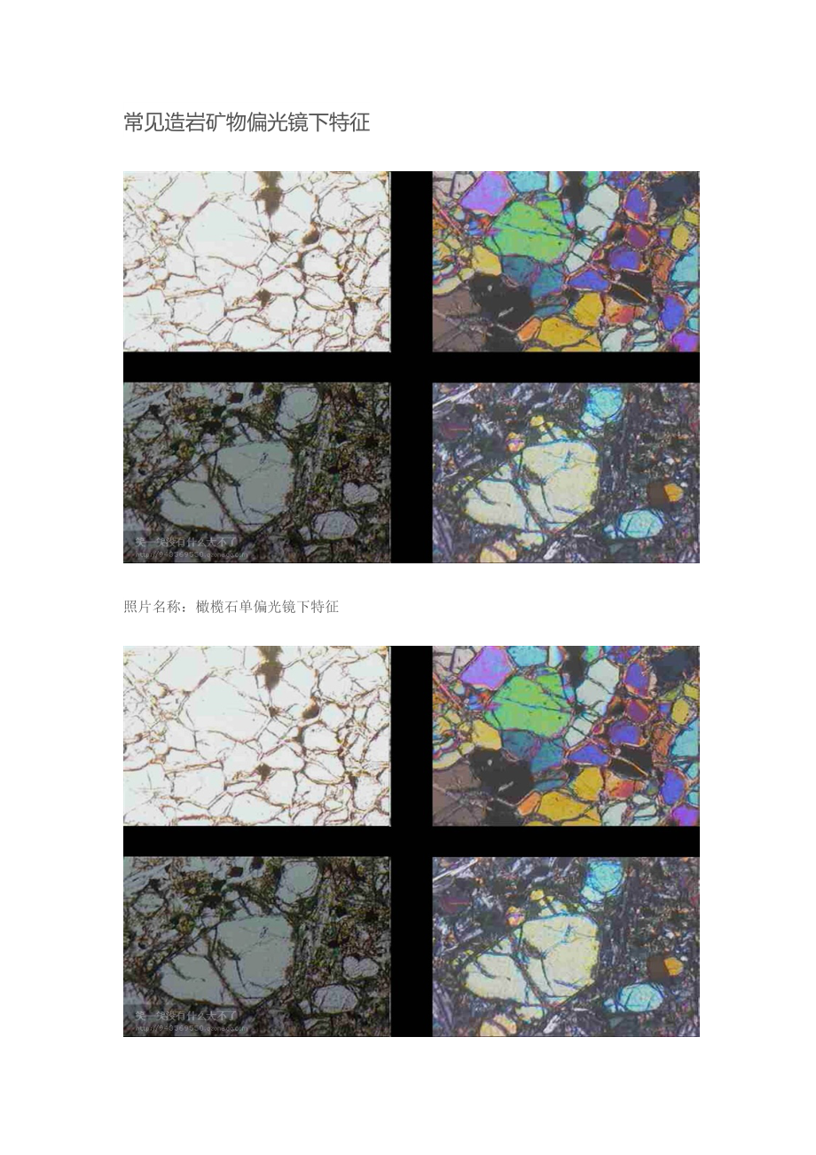 常见的造岩矿物偏光镜下特征.docx_第1页