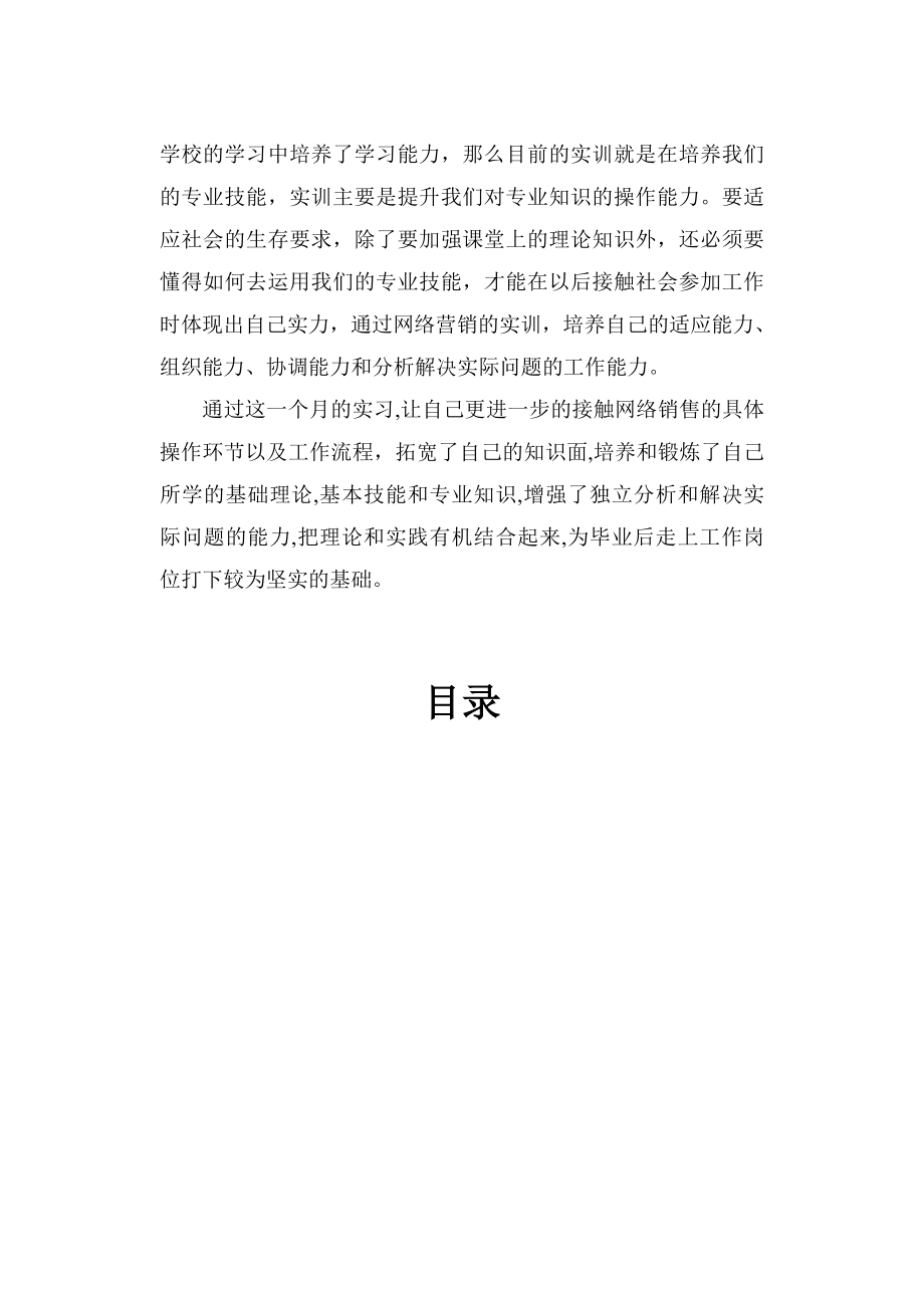 网络营销实习报告.docx_第3页