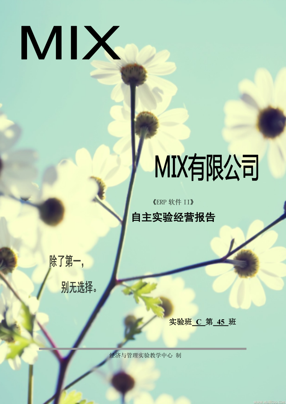 MIX公司企业经营报告.docx_第1页