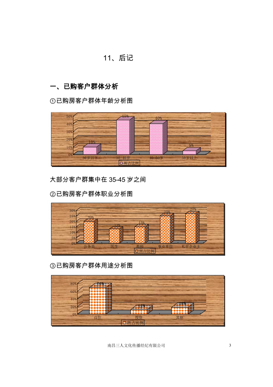 梅岭广告推广报告（修订稿）.docx_第3页