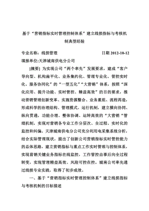 营销指标实时管理控制体系建立线损指标与考核机制典型经验.docx