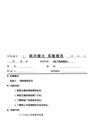 网络营销应用实验报告.docx