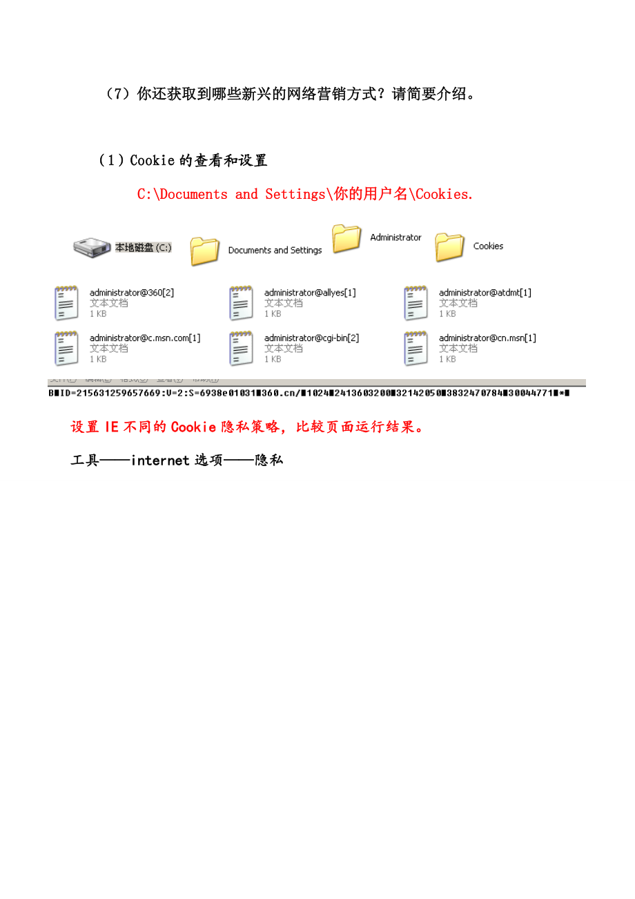 网络营销应用实验报告.docx_第3页