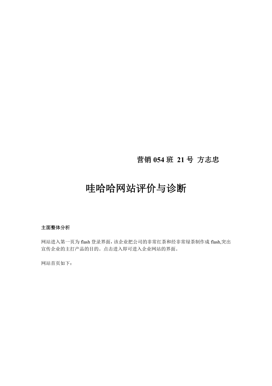 哇哈哈网站评价及其诊断.docx_第1页