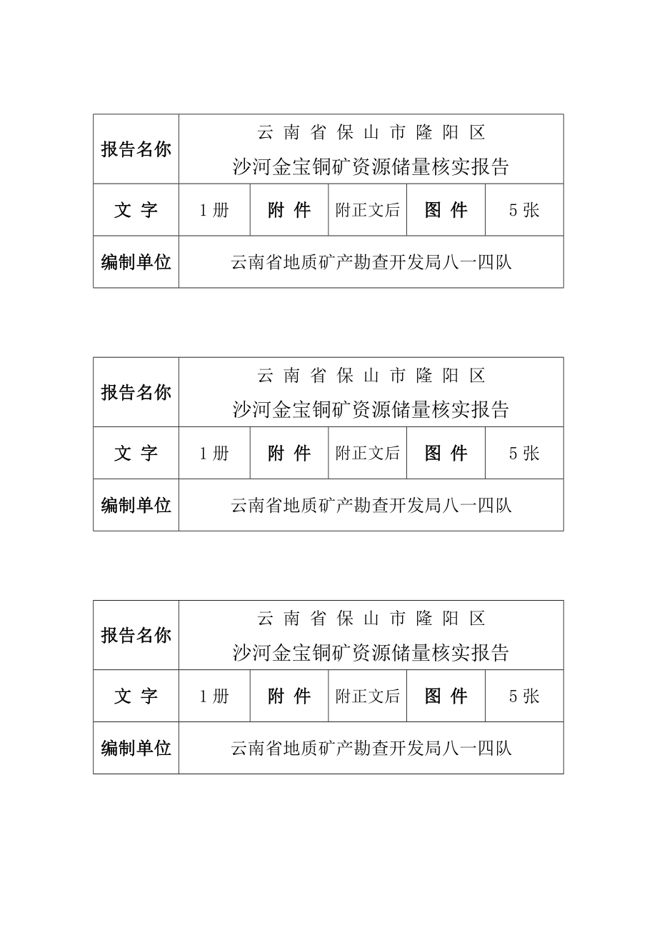 保山市隆阳区沙河金[宝铜矿资源储量核实报告.docx_第1页