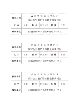 保山市隆阳区沙河金[宝铜矿资源储量核实报告.docx