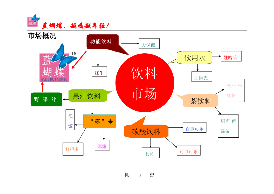 “蓝蝴蝶”系列鲜花野果汁饮料新品推广方案.docx_第2页