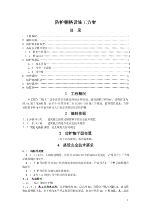 防护棚搭设施工方案.docx