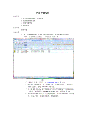 网络营销实验.docx