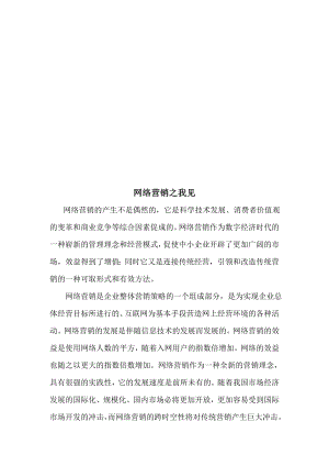 网络营销之我见.docx