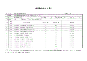 锚杆钻孔施工记录表培训资料.docx