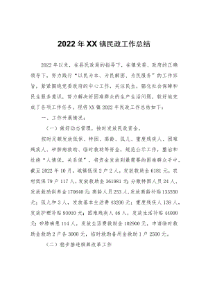 XX镇民政工作总结.docx