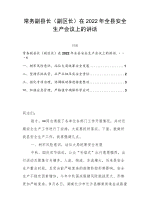 常务副县长（副区长）在2022年全县安全生产会议上的讲话.docx