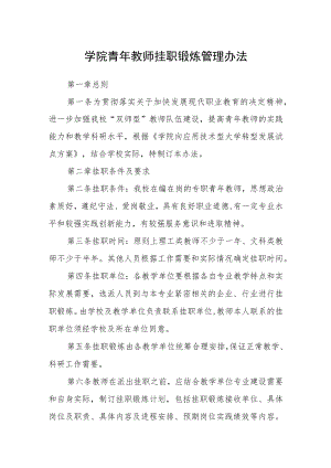 学院青年教师挂职锻炼管理办法.docx