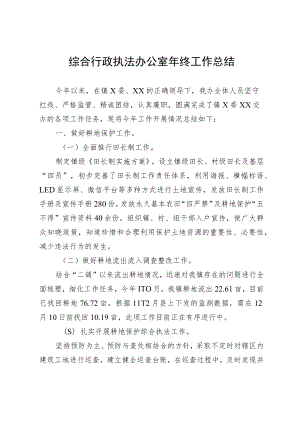 综合行政执法办公室年终工作总结.docx