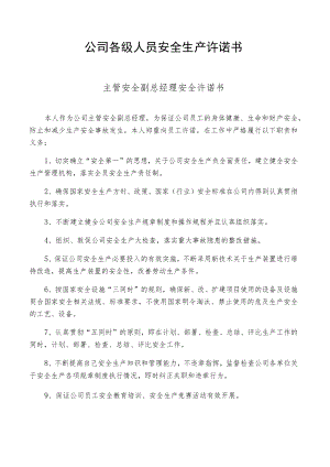 公司各级人员安全生产承诺书.docx