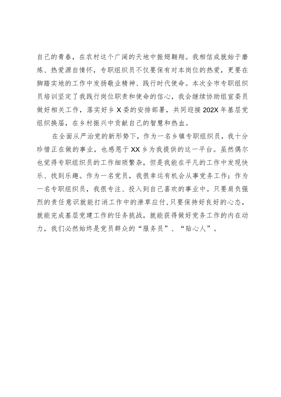 专职组织员年度工作总结.docx_第3页