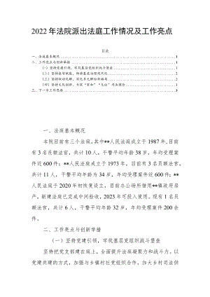 2022年法院派出法庭工作情况及工作亮点.docx