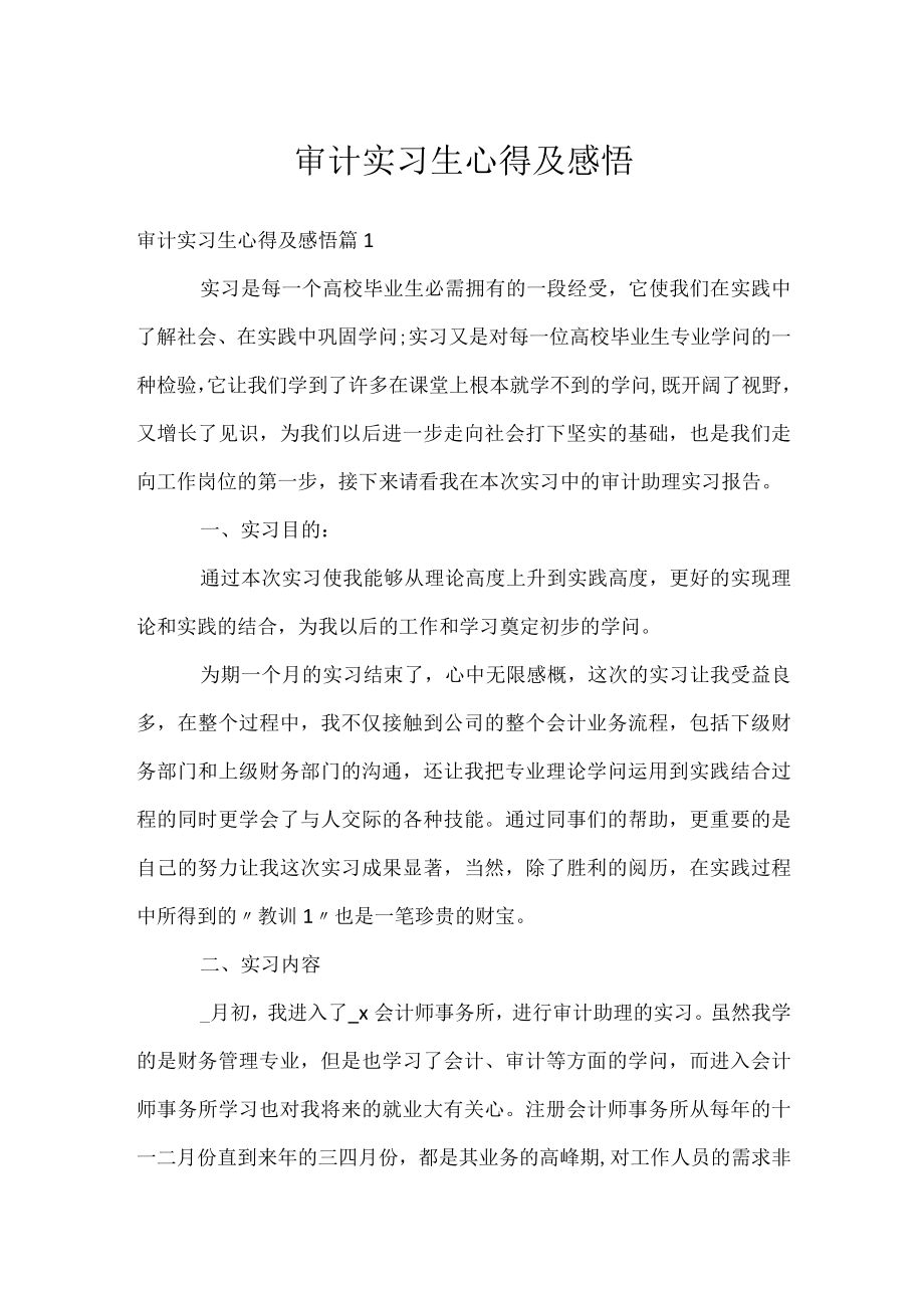 审计实习生心得及感悟.docx_第1页