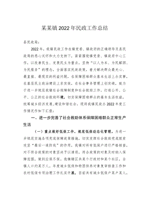 某某镇2022年民政工作总结.docx