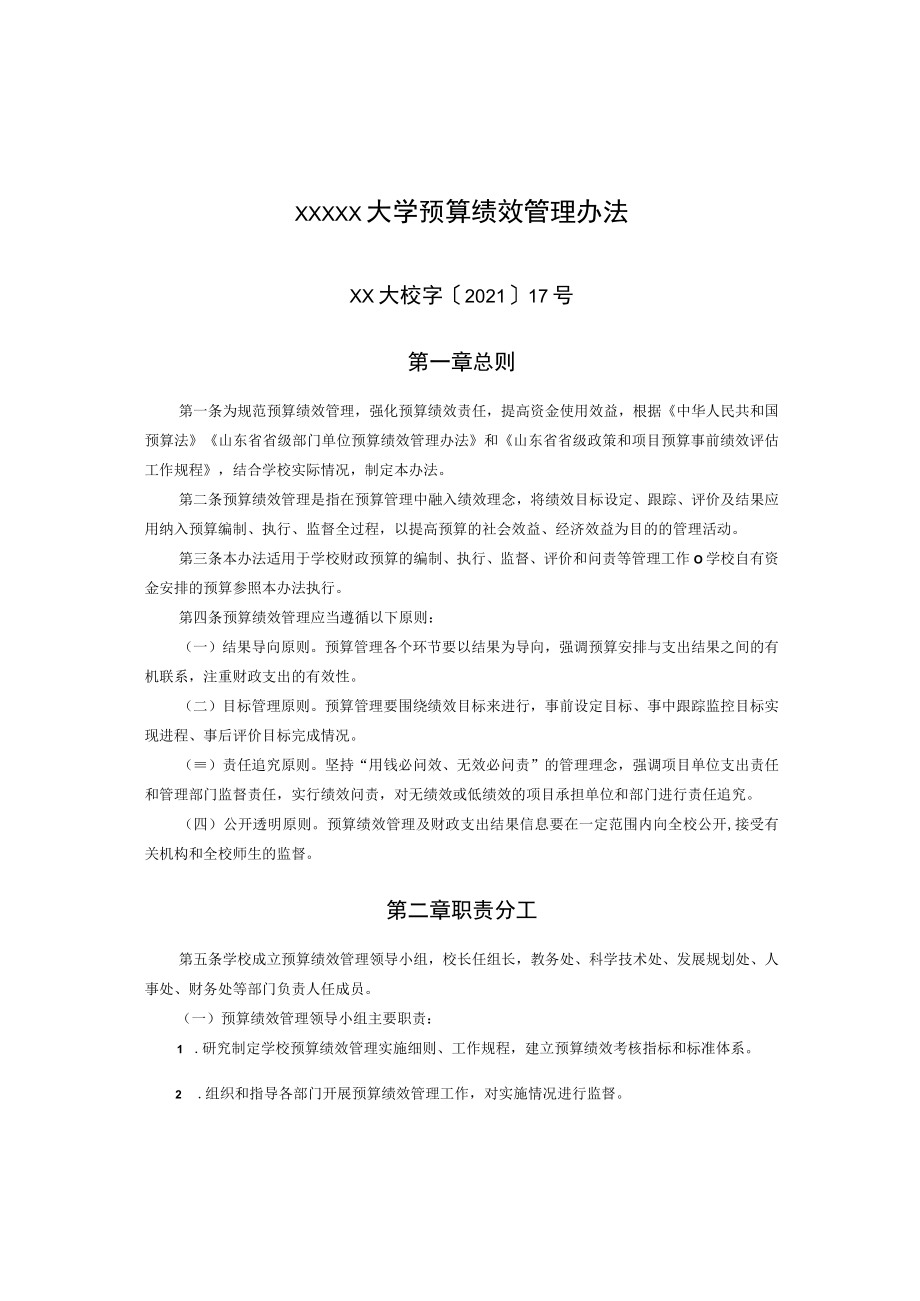 XXXXX大学预算绩效管理办法.docx_第1页