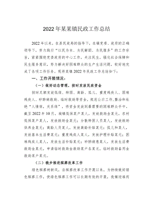 2022年某某镇民政工作总结.docx