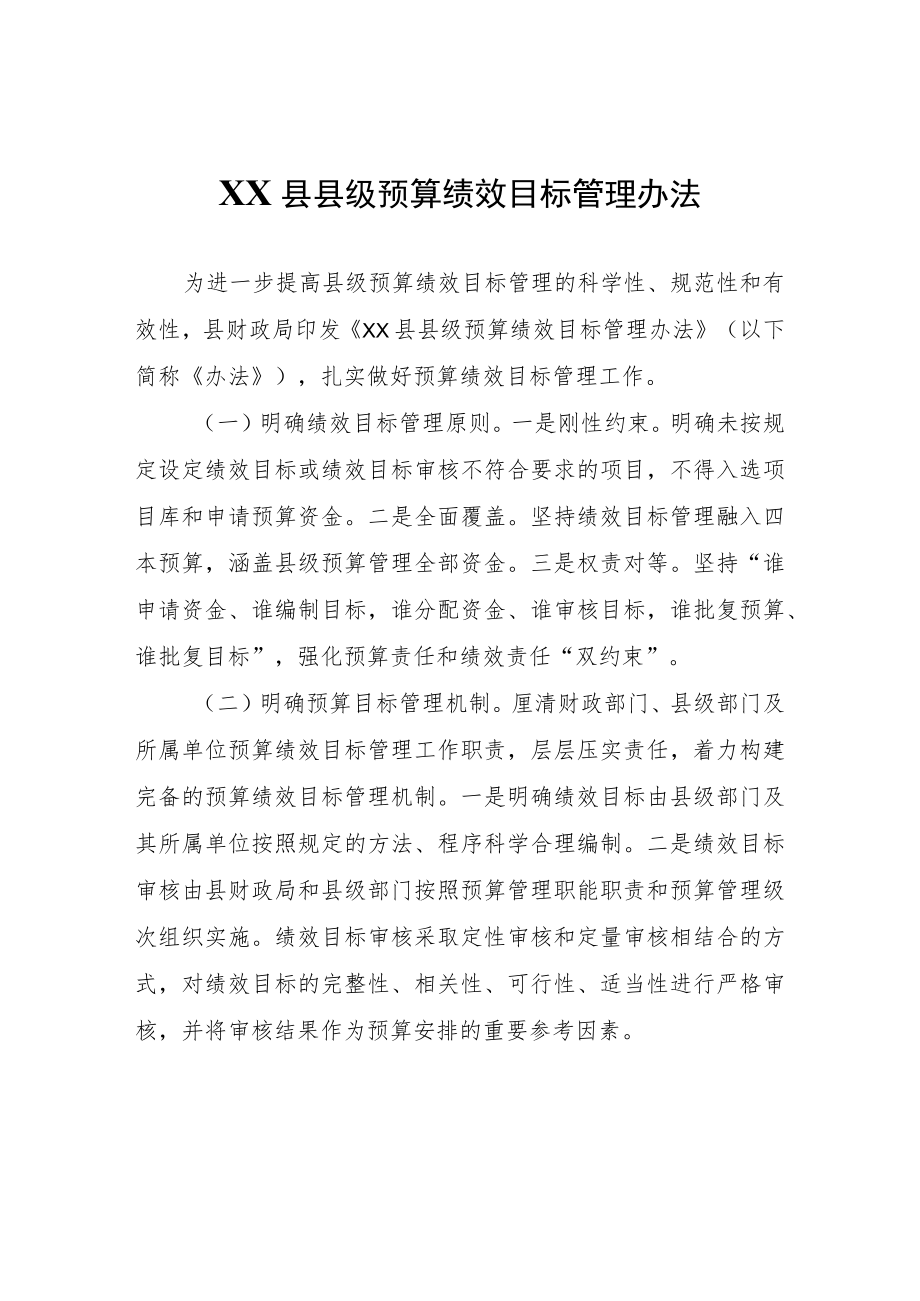 XX县县级预算绩效目标管理办法.docx_第1页