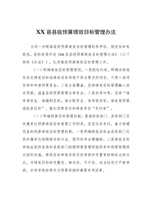 XX县县级预算绩效目标管理办法.docx