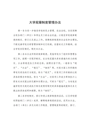 大学规章制度管理办法.docx