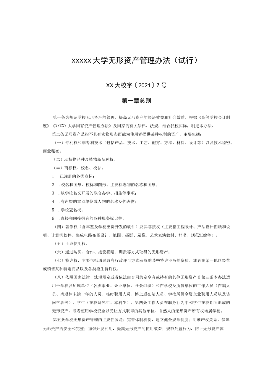 XXXXX大学无形资产管理办法.docx_第1页