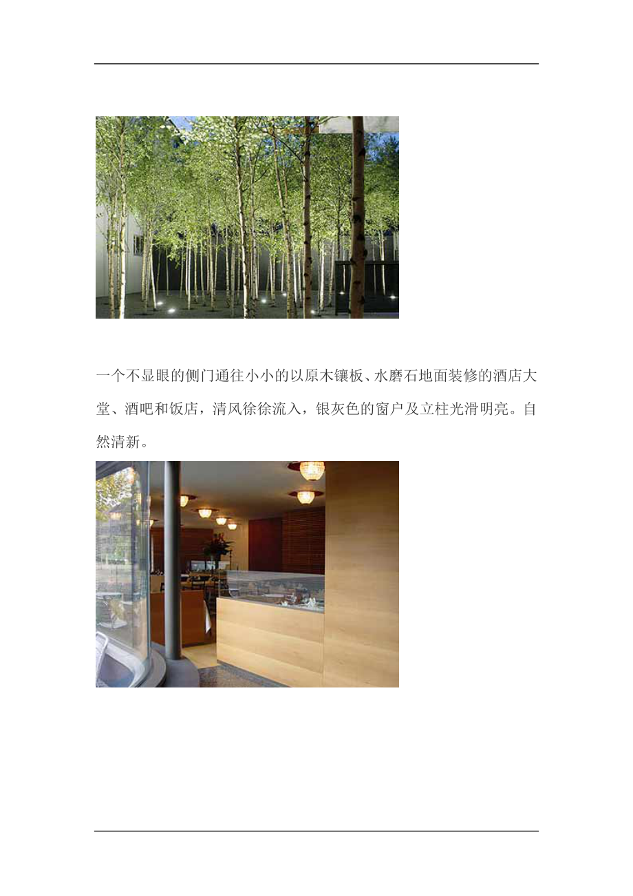 酒店设计案例介绍doc7(1).docx_第2页