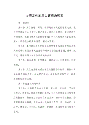 乡突发性地质灾害应急预案.docx