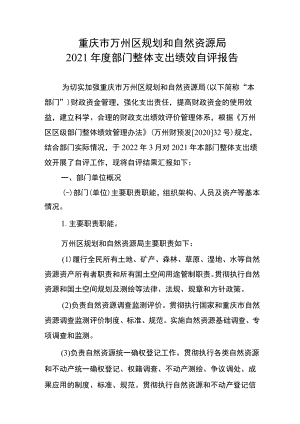 重庆市万州区规划和自然资源局2021年度部门整体支出绩效自评报告.docx