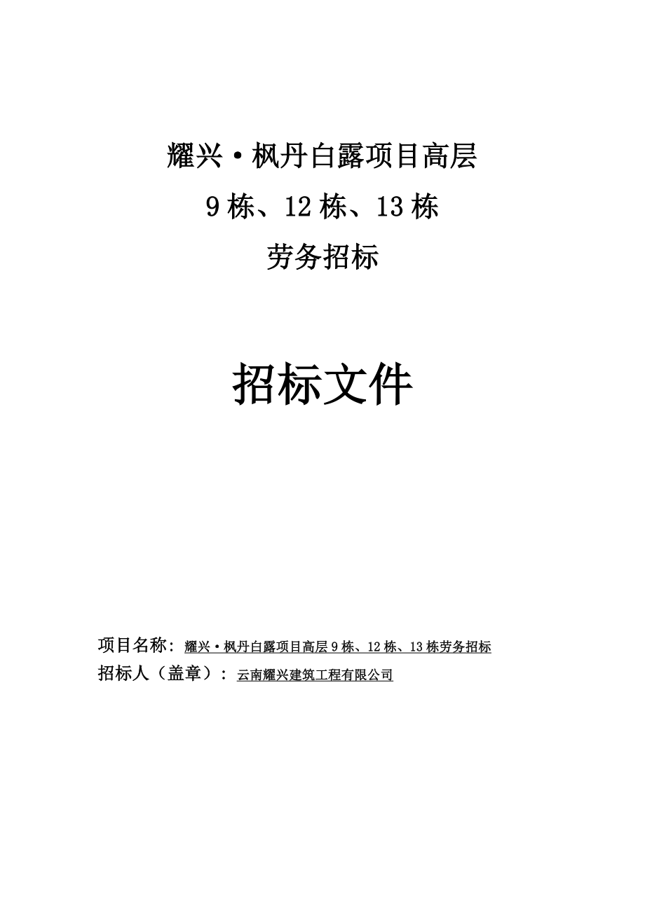 云南昆明某高层项目楼劳务招标文件.doc_第1页