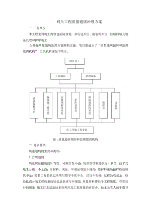 某码头工程质量通病治理方案.doc