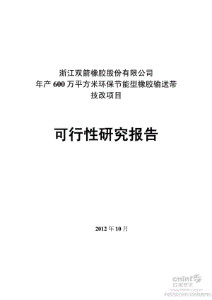 浙江某橡胶输送带技改项目可行性研究报告.doc