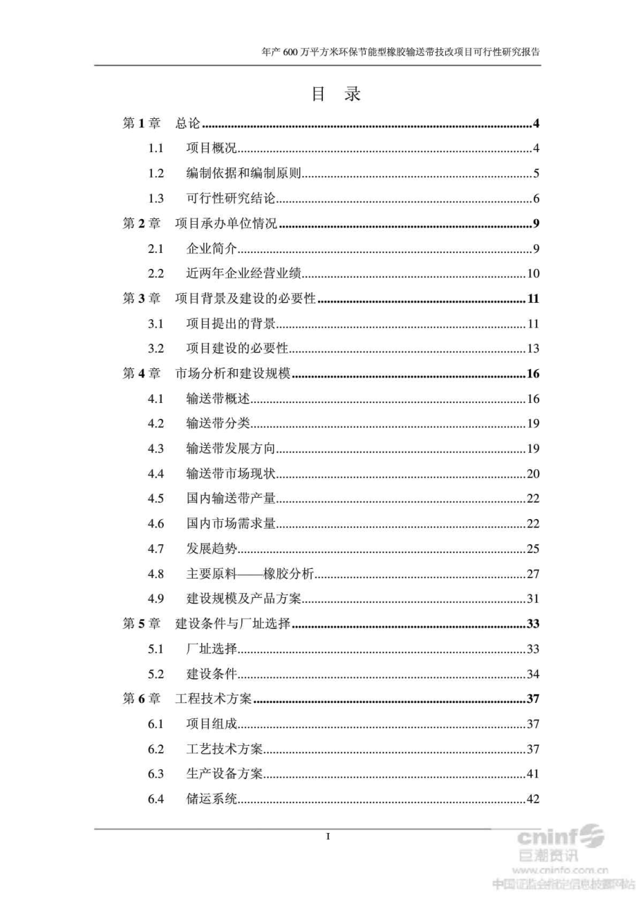 浙江某橡胶输送带技改项目可行性研究报告.doc_第2页