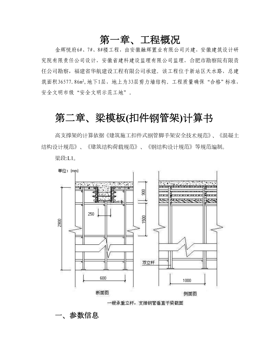 安徽剪力墙结构高层小区住宅楼模板专项施工方案(含计算书).doc_第1页