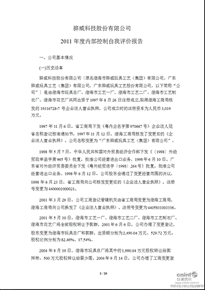 骅威股份：内部控制自我评价报告.ppt