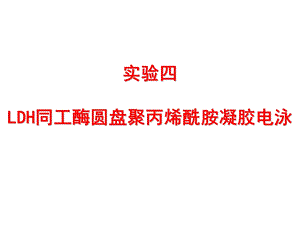 华南农业大学LDH同工酶圆盘聚丙烯酰胺凝胶电泳.ppt